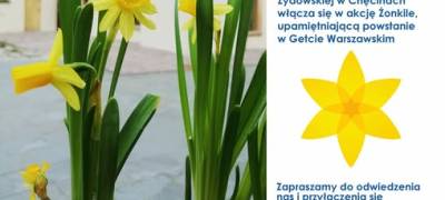 Akcja "Żonkile – Łączy nas pamięć"