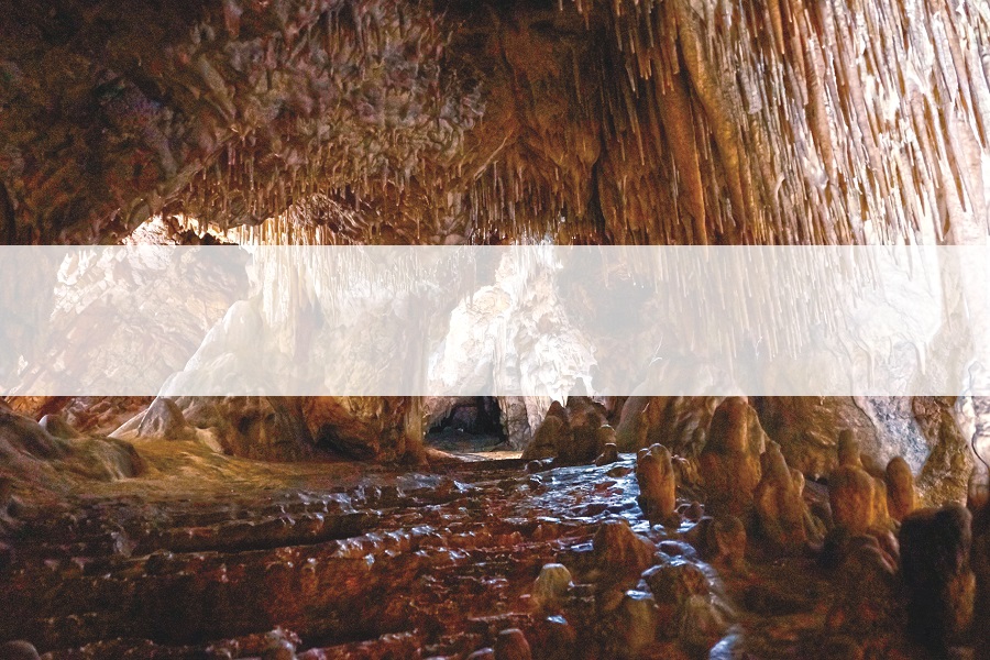 Wycieczka nr 2: Jaskinia Raj - Góra Rzepka